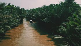 Begin your visa-prepared day with Vietnam’s tranquil ambiance